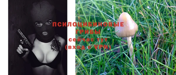 синтетический гашиш Бронницы
