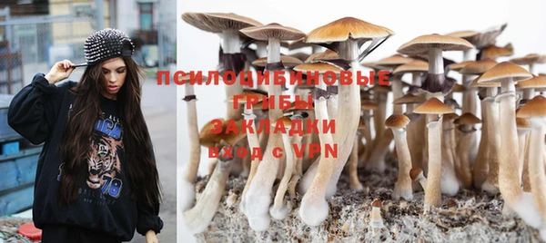 синтетический гашиш Бронницы